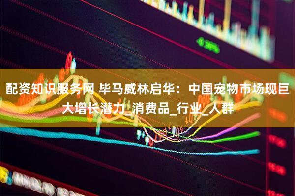 配资知识服务网 毕马威林启华：中国宠物市场现巨大增长潜力_消费品_行业_人群