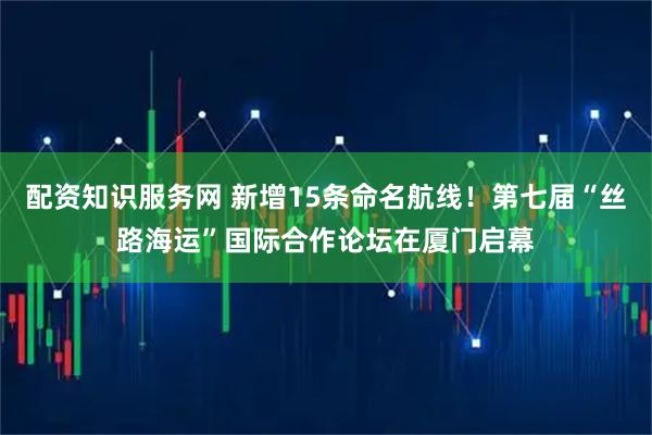 配资知识服务网 新增15条命名航线！第七届“丝路海运”国际合作论坛在厦门启幕