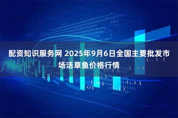 配资知识服务网 2025年9月6日全国主要批发市场活草鱼价格行情