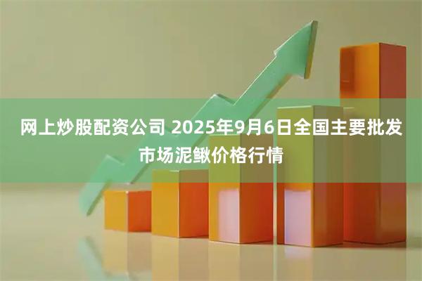 网上炒股配资公司 2025年9月6日全国主要批发市场泥鳅价格行情